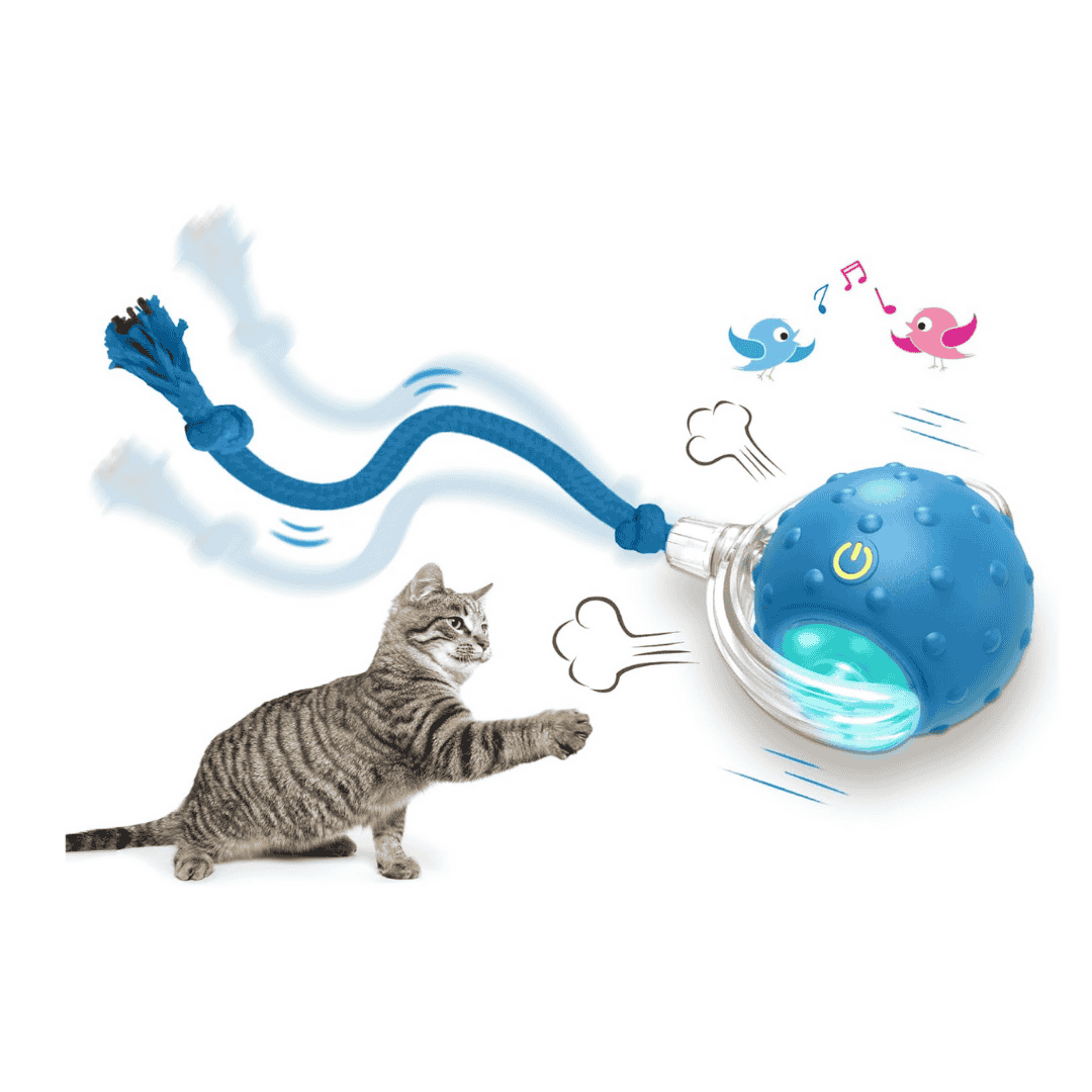 interactive cat toys wholesale